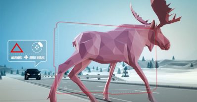 "it was terrifying": the dangers of deer on uk roads