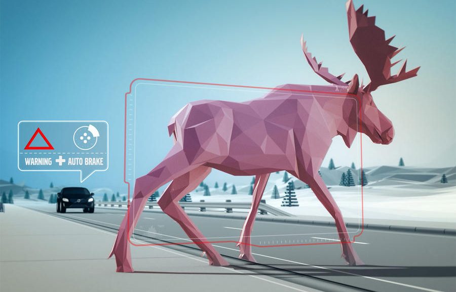 "it was terrifying": the dangers of deer on uk roads
